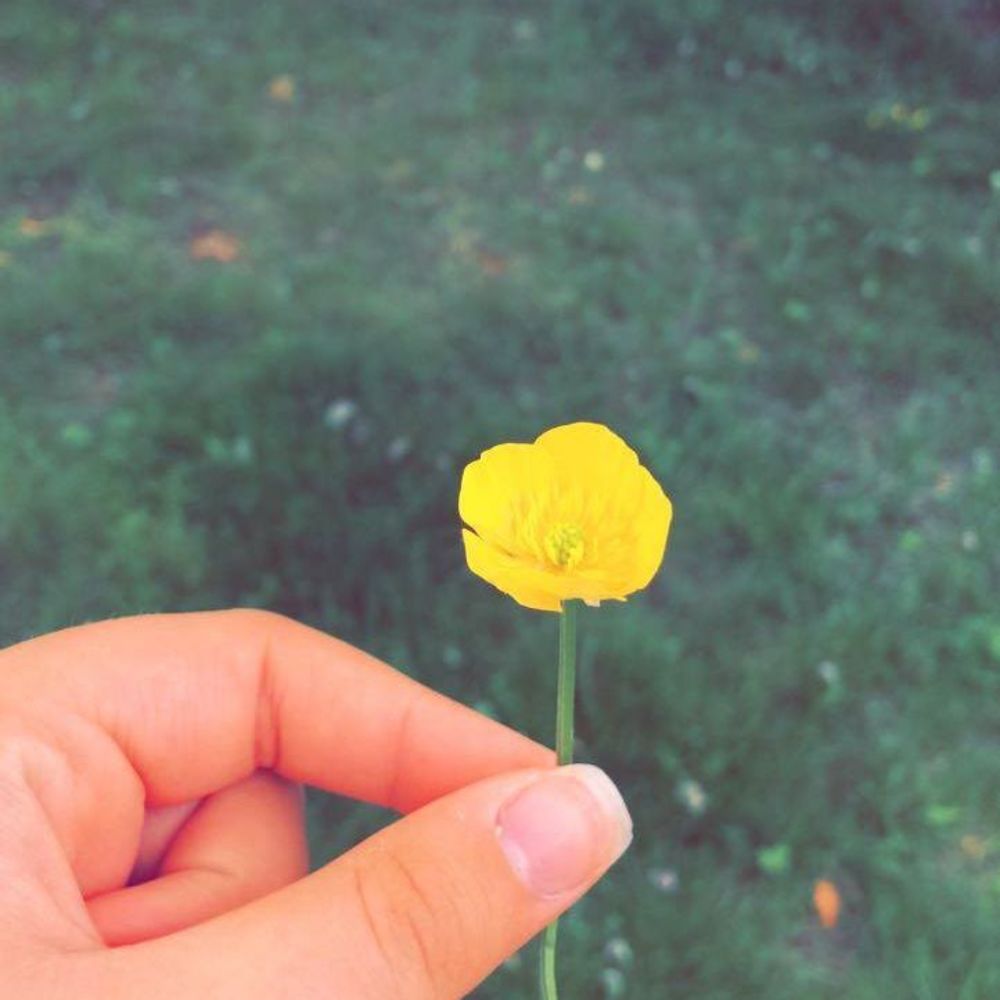 Meet your Posher, Tasha